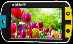 Pebble