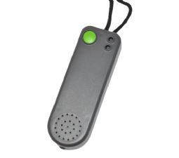 TimeVox