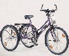 Haverich Mountain bike