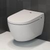 Example from the product group Toilets with douche and air dryers Example from the product group Toilets with douche and air dryers