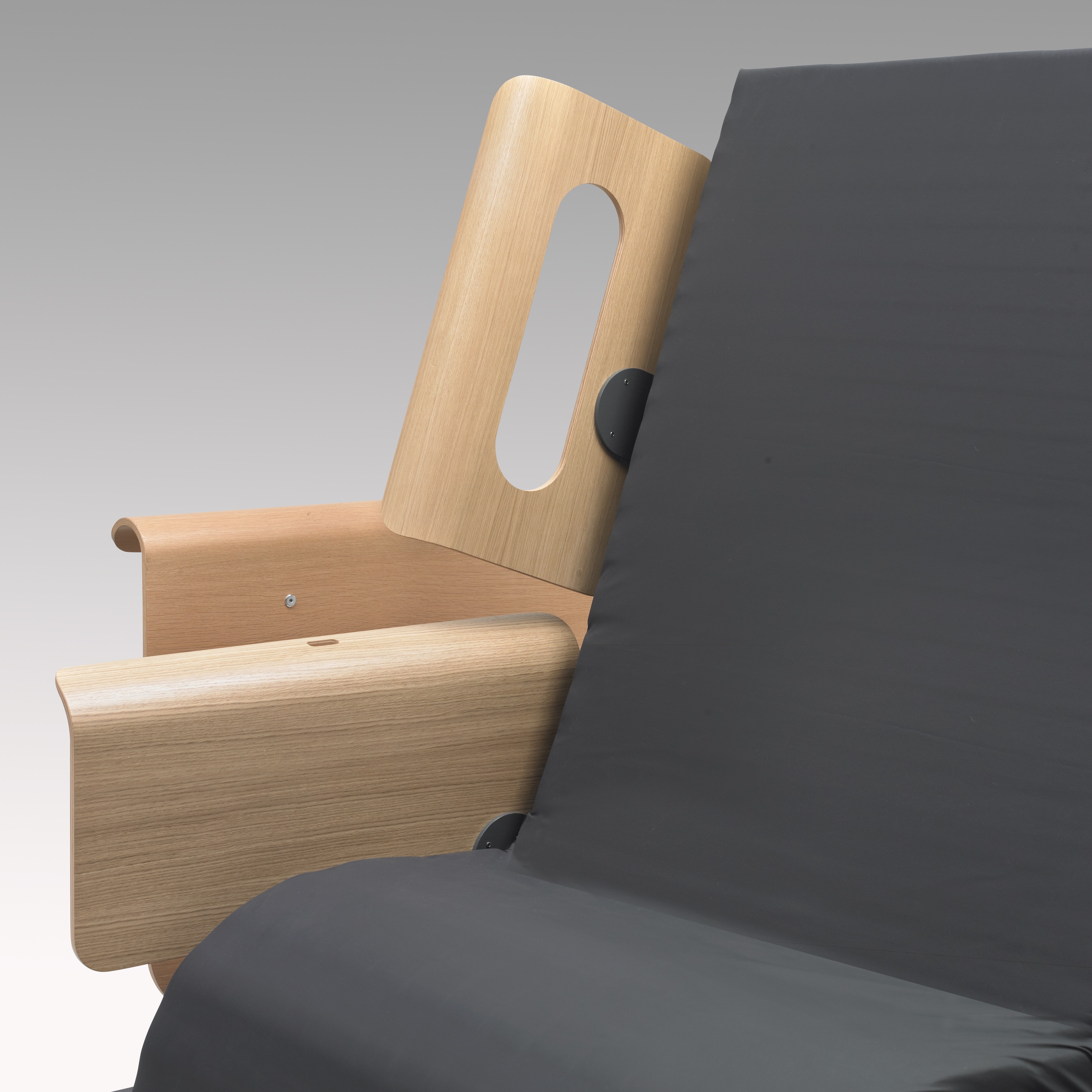 Rotating Bed Rails Bedrails for RotoBed care beds from RotoBed - AssistData