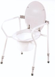 Separate Raised Toilet Seat