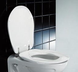 Toilet seat, Ergosit