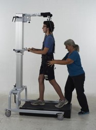 LiteGait Adult