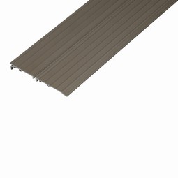 Light brown threshold ramps in aluminum