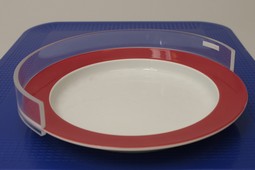 Plate guard, transparent plastic