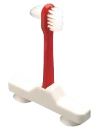 denture toothbrush with suction cups