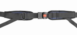 Hip Belts