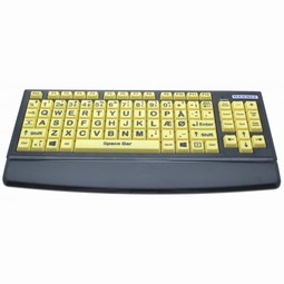 KEY-LARGE-P  - example from the product group keyboards with visually distinct keys