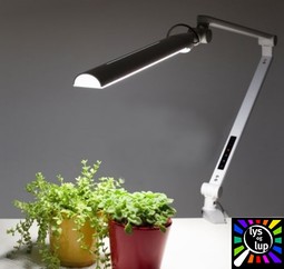 VisionStar desk lamps