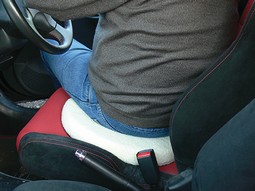 Revolving Swivel Seat - click to see picture in full size - opens new window Revolving Swivel Seat