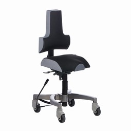 Therapia Rehab Chairs