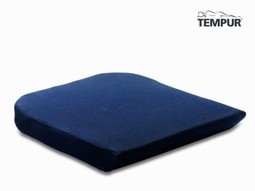 TEMPUR cushion