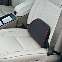 Car Back Support  - example from the product group back cushions