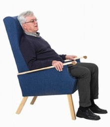 CareToRise Julie Lift Chair