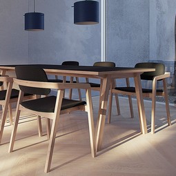 Ayo dining chair