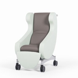 Greiner Recrea chair  - example from the product group easy chairs without electrical adjustments