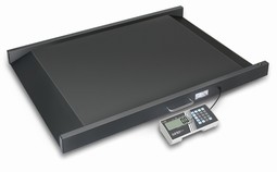KERN MWS  - example from the product group wheelchair scales