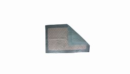 Absorbent bed pads