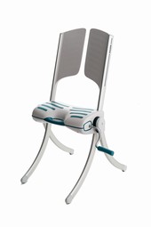 Raizer M - lifting chair for domestic use  - example from the product group lifting seats and lifting mattresses