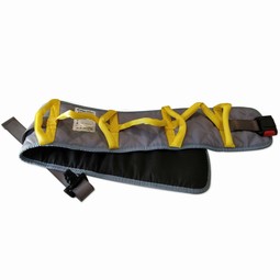 Support belt for moving patients