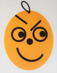 Face-it  - example from the product group assistive products for social training