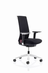 KOHL Tempeo Fresh Basic office chair, grey frame
