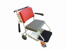 Manchester Bariatric  - example from the product group manual attendant-controlled transit wheelchairs without tilt-in-space