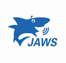 JAWS Pro Skærmlæser