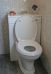 Family toilet seat