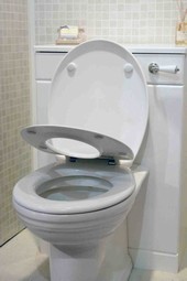 Family toilet seat