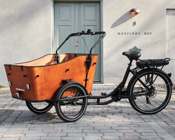 Electric Cargo Bike - Ultimate Harmony  - example from the product group carrier cycles