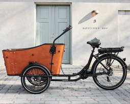 Electric Cargo Bike - Ultimate Harmony