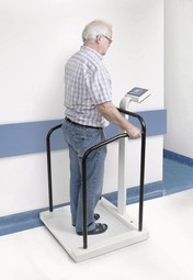 Handrail Scale - Kern MTA