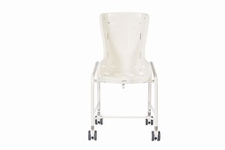 R82 Swan Curo toilet and bath chair