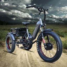 3-wheeler electric trike