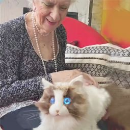 metaCat Companion Robotic Pet Cat