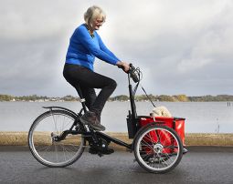 Pelican Bike