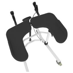 Platform walker
