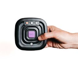 Bide Fall Prevention Device