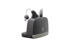 Standard charger Allure