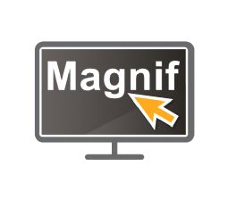 SuperNova Screen Magnification SuperNova Screen Magnification