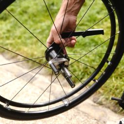 SKEED by Eppur - click to see picture in full size - opens new window SKEED by Eppur