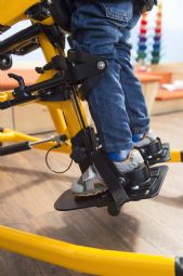 Tim Ståtræner - click to see picture in full size - opens new window Tim Ståtræner